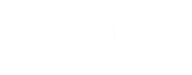 Fluxon